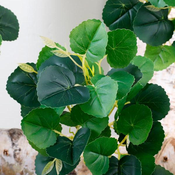 植物墙室内景观配叶仿真树叶把束绿植造景迷你海棠叶子盆栽地景