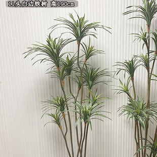 仿真手感红边铁树手感叶子龙血树室内家居摆件落地千年木盆裁植物