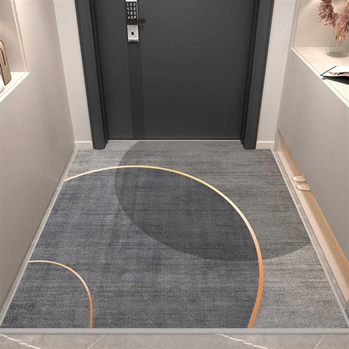 地垫入户门家用门垫进门地毯轻奢入门脚垫客厅玄关门口可裁剪pvc