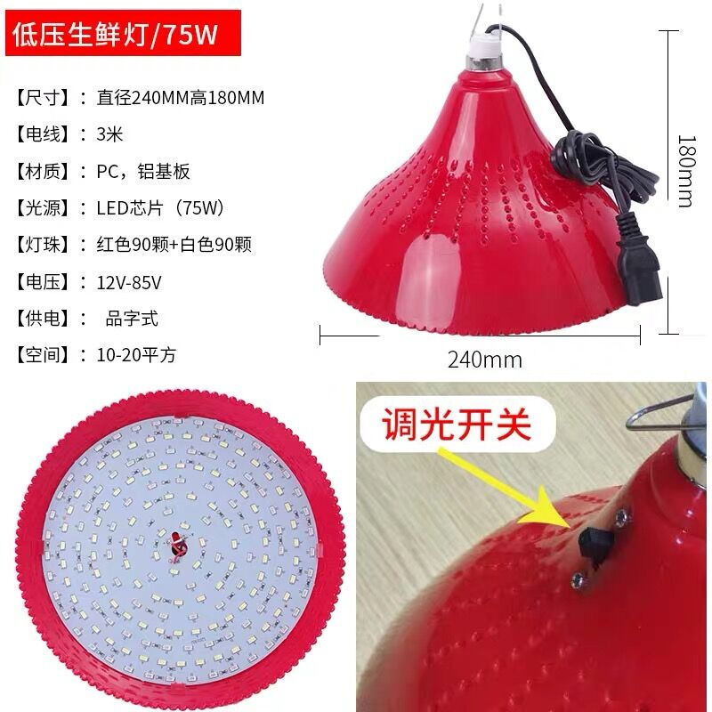 zixi适用于电瓶三轮车用1248卖水果熟食卤肉猪肉卤菜夜市摆摊节能