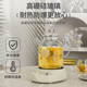全玻璃煮水壶迷你养生壶家用多功能烧茶壶办M公室小型煮茶器花茶