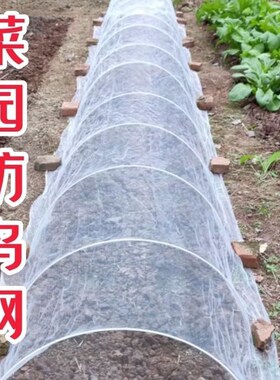 菜园防乌a网种菜专用瓜果防虫白色网尼龙纱网阳台鱼塘果树大棚农