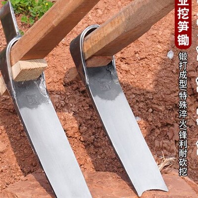 挖冬笋春笋树桩锄头弹簧钢板手工锻打F两用专用洋镐挖硬土挖笋竹