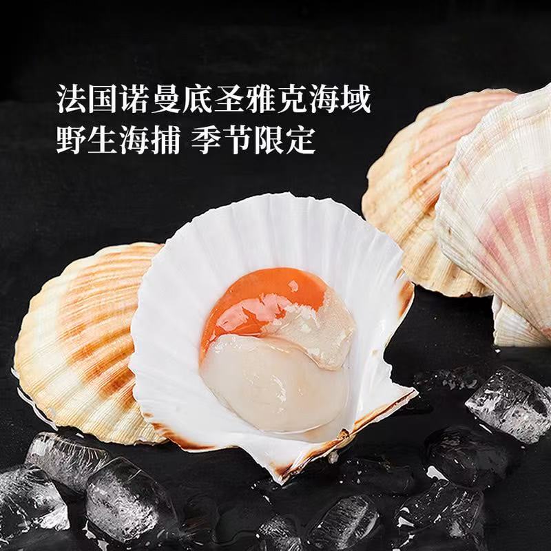 山姆代购 法国帝王扇贝600g 速食菜大扇贝野生捕捞去半壳海鲜顺丰