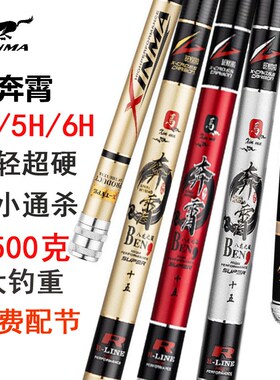 百思得奔霄超轻超硬台钓竿4H28碳素手杆鲤鱼竿5H6H19调黑坑综合竿