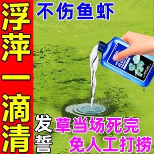 浮萍一扫光鱼池除藻去苔剂水产养殖除水草藻水花生净化水质清除剂