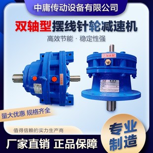 立式 常州摆线针f轮减速机双轴型两头轴大小轴卧式