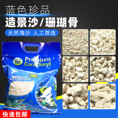蓝色珍品海缸造景珊瑚沙海沙菲律宾沙子天然鱼缸底砂海砂珊瑚骨石
