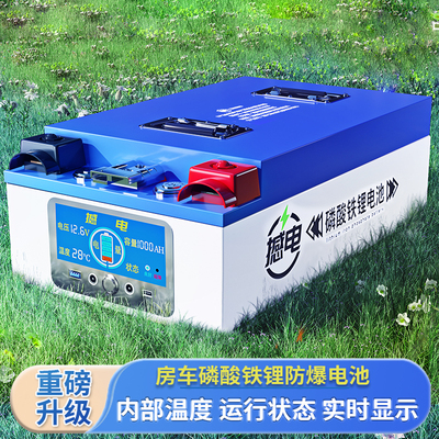 宁德房车专用大容量1000ah电源磷酸铁锂电池12v24v48伏大单体电芯