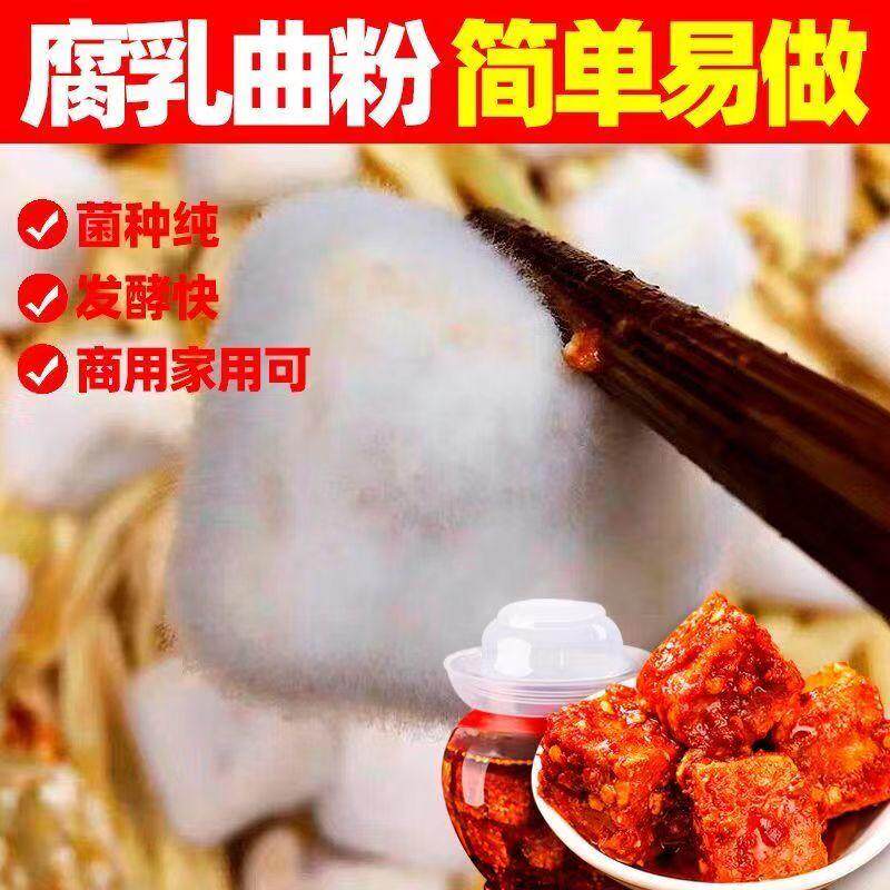 曲子腐乳曲粉自制长白毛臭豆腐霉豆腐乳毛豆腐发酵菌豆豉毛霉菌