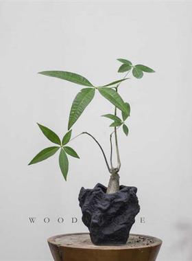 本木庐舍丨不规则黑色系陶盆 侘寂风褶皱花盆异形陶瓷盆