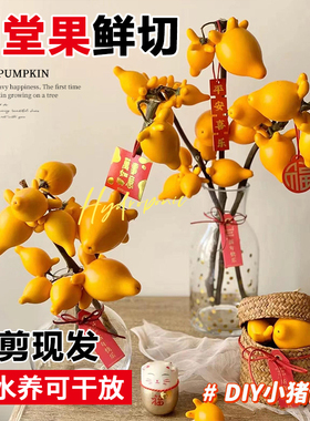 五代同堂黄金果鲜切枝水培植物年宵花插花客厅水养招财鲜花喜庆