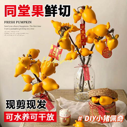 基地现摘先发五代同堂果绿植鲜花