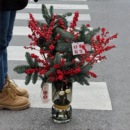 诺贝松圣诞节红色冬青果花束真花DIY手工制作天竺女装 饰花材礼物