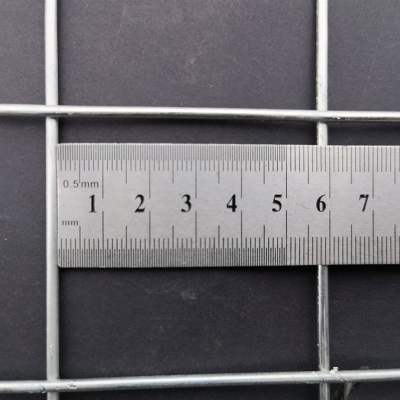 鸽棚加密鸽舍地围网镀锌电焊网片养殖网长孔格网铁丝网鸽子防护网