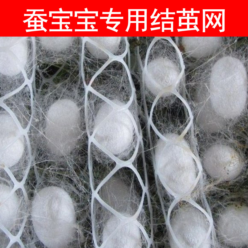 蚕宝宝吐丝结茧网格专用结茧簇网大小网片10年质保养蚕工具套装图片