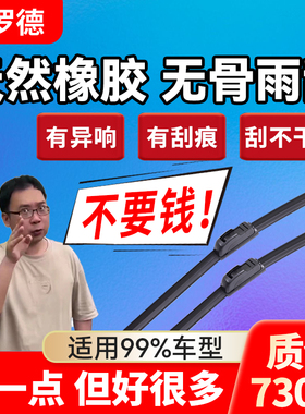适用宝马3系5系320li 520 118 525X1X5X3X6X4Z4mini7系无骨雨刮器