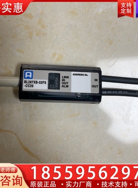 ANYWIRE 模块 BL287XB-02FS-CC20 ~询价