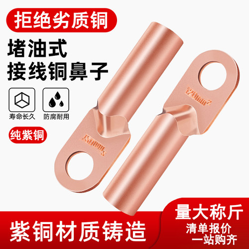DT铜鼻子10/16/25平方接线端子