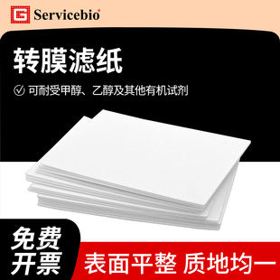 赛维尔wb转膜滤纸薄款/厚款Western blot转印滤纸 WB蛋白转膜滤纸