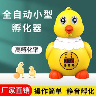 新伟达全自动孵化机小型家用幼儿园教学科教小鸡孵化器智能孵蛋器