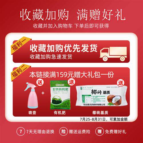 不锈钢八角形花盆托盘带万向轮盆景移动底座滚轮底盘重物托架花盘