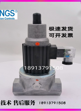 DUNGS冬斯GSV203 205 207 210 GSVLE205 燃烧器电磁阀燃烧机配件