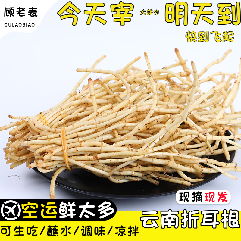 空运云南折耳根顾老表现摘现发