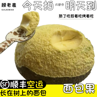 顺丰空运网红新鲜面包果
