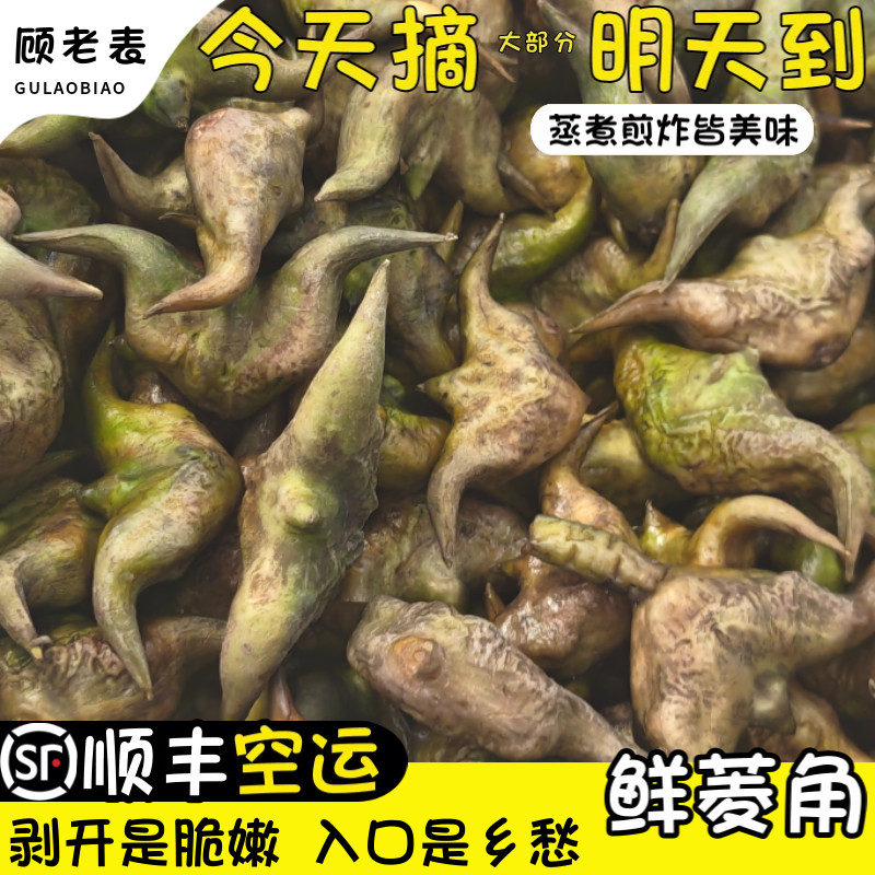 空运次日达云南鲜鲜菱角