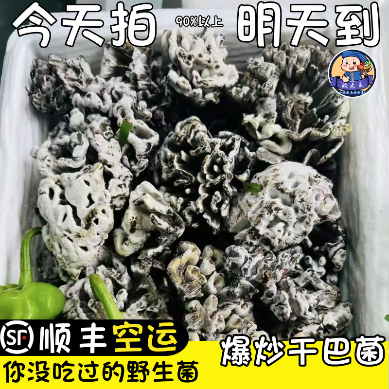 空运次日达干巴菌非人工种植