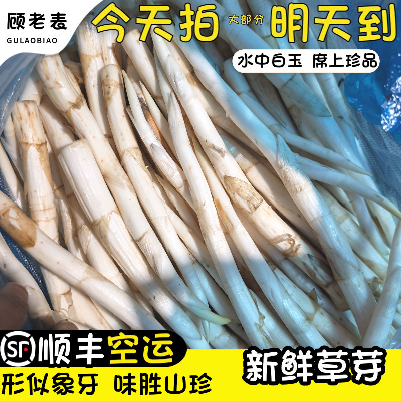 顺丰空运次日达云南建水新鲜草芽