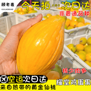 顺丰空运次日达云南蛋黄果西双版纳耀堂仙桃鸡蛋果新鲜当季水果