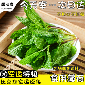空运云南新鲜薄荷蔬菜食用餐饮牛羊肉火锅蘸水调料鲜薄荷叶3斤