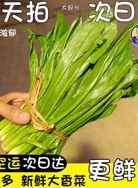 顺丰空运次日达新鲜大芫荽云南大香菜现挖傣味汤食材芫茜香料调味