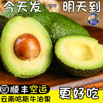顾老表哈斯牛油果鳄梨顺丰空运