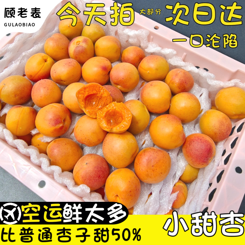 顺丰空运新疆小甜杏子小白杏新鲜红杏当季现摘小甜杏孕妇水果纯甜