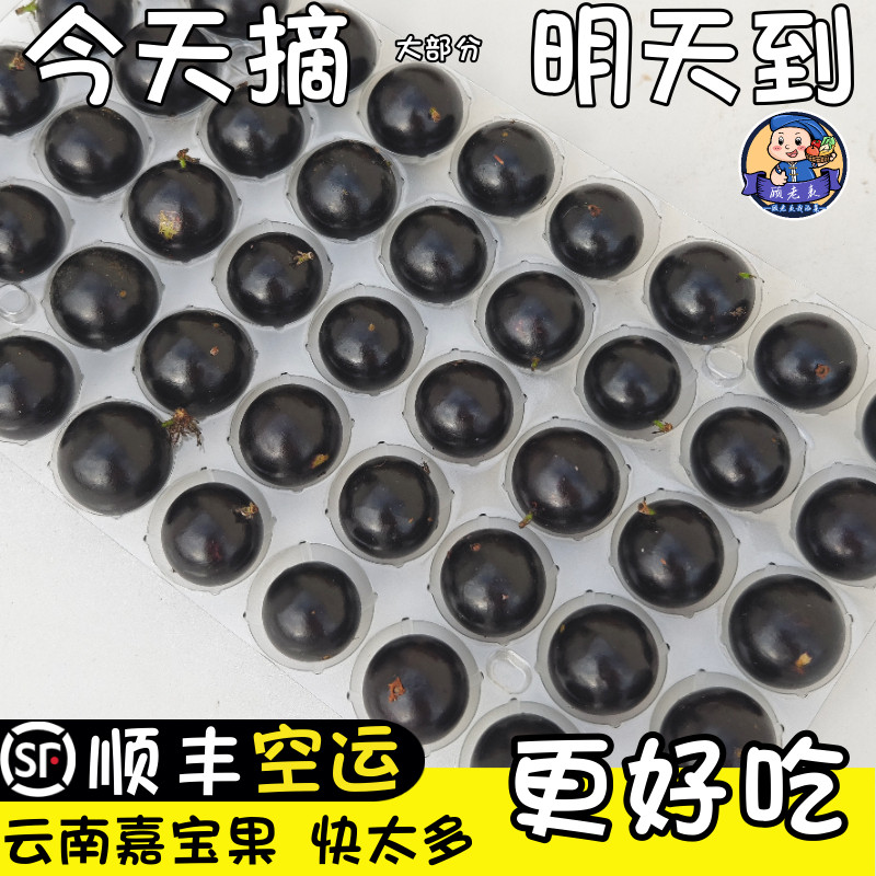 顺丰次日达嘉宝果现摘