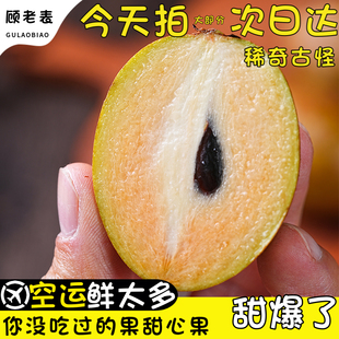 空运云南甜心果纯甜新鲜当季孕妇水果西双版纳人心果稀奇古怪3斤