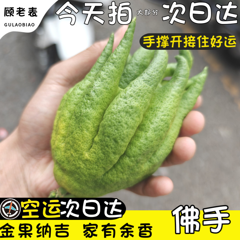 顺丰空运次日达云南佛手柑鲜果图片