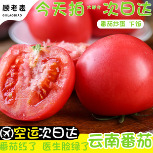 空运次日达云南沙瓤番茄新鲜生吃蔬菜高原自然熟水果西红柿中大果