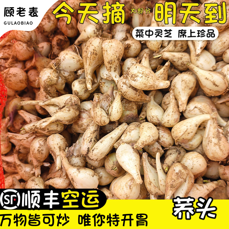 空运次日达藠头酸甜辣泡菜