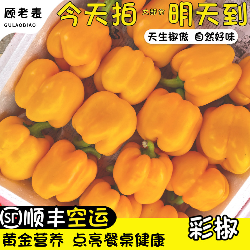 空运次日达云南新鲜黄彩辣椒