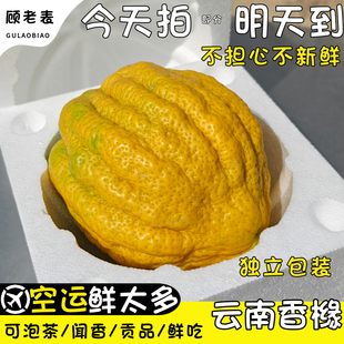 空运次日达云南香缘大果新鲜现摘版纳香橼果佛手柑水果农家香园