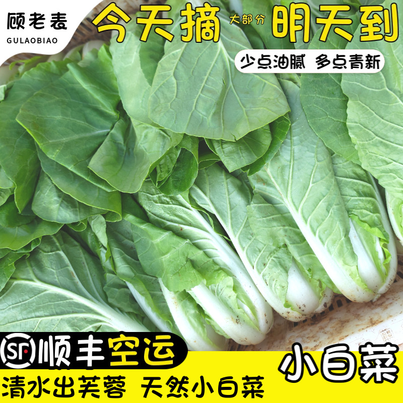 空运次日达云南高原新鲜小白菜