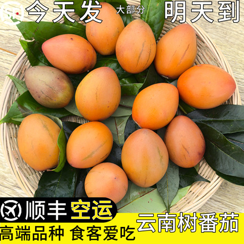 顺丰空运次日达树番茄傣味调料