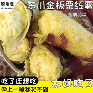 东川板栗红薯老品种云南红薯高原黄金蜜薯新鲜烤地瓜粉糯香甜可蒸
