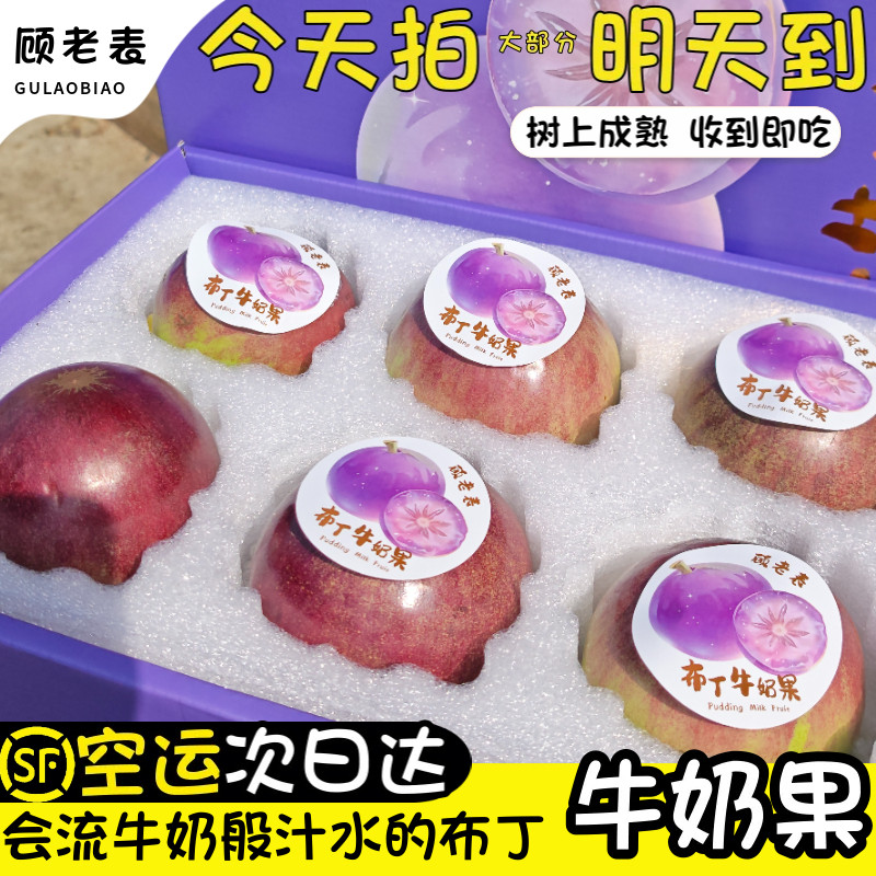 顺丰空运次日达云南牛奶果礼盒新鲜水果紫牛奶果稀奇古怪紫黄晶果