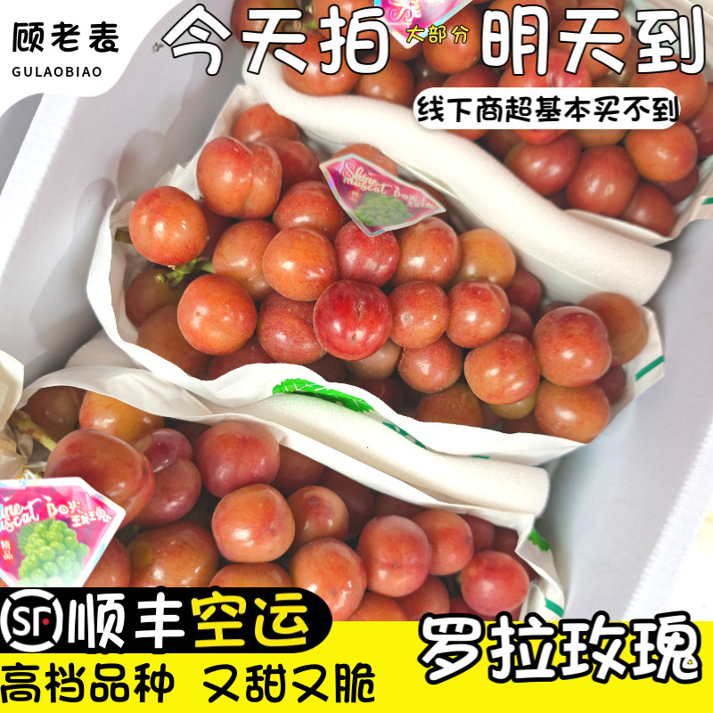 空运次日达罗拉玫瑰葡萄红玫瑰