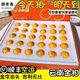 顺丰空运云南脆蜜金柑礼盒第三代大果脆蜜次日达金桔特大果金钱橘